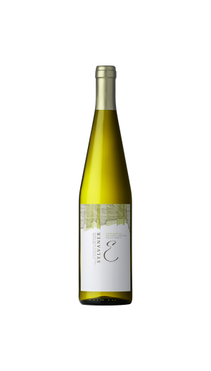 Sylvaner Alto Adige - Cantina Valle Isarco