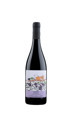 Collezione "La Scuola nel Vigneto" Corvina Veronese igt - Domini Veneti