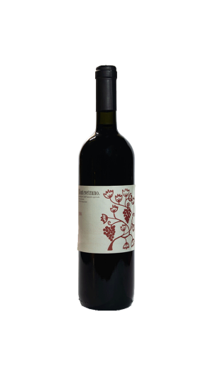 Colli di Salerno Rosso IGT - Montevetrano