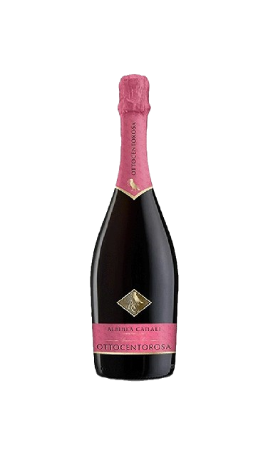 Bottiglia della bottiglia dello spumente "Ottocentorosa" Lambrusco Rosato