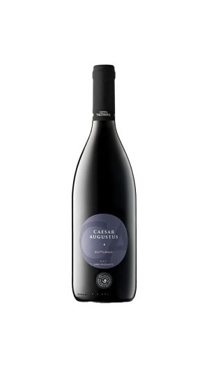 “Caesar Augustus” Gutturnio DOC frizzante - Cantina Valtidone