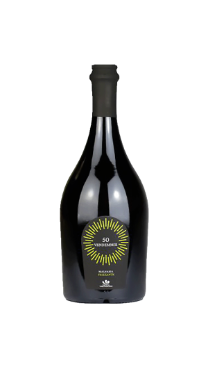 "50 Vendemmie" Colli Piacentini Malvasia Doc frizzante - Cantina Valtidone
