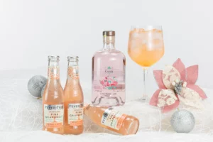 G01 - GIN & TONIC